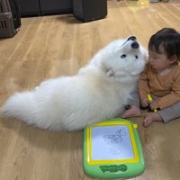 見守り