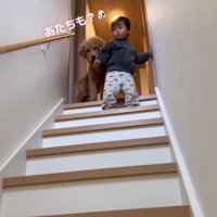 ママを見るころもちゃん