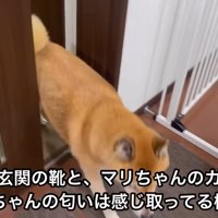 ロックくんが部屋の中へ