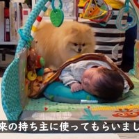 赤ちゃんを寝かせてみたら…