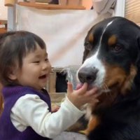 ダンロくんとの思い出