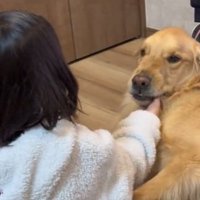 ドヤ顔のルークくん
