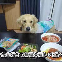 幸せいっぱいのティトちゃんでした