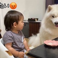 「ちゃんと謝って！！」