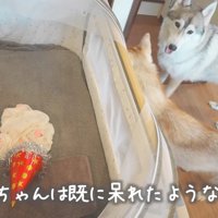 もんちゃんは呆れ顔…