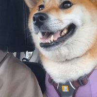 無邪気な笑顔が可愛い♡