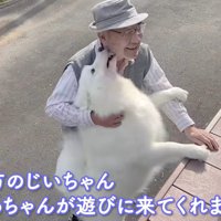 祖父母がやってきた