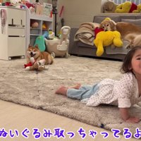 「早く追いかけてきて！」