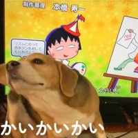 テレビの前でリラックスする中型犬