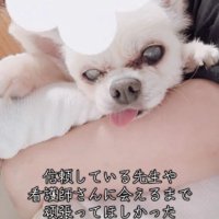 お盆休み中の出来事でした