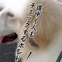 お姉さんを迎えに来たボンドくん7