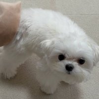 申し訳なさそうなお顔が愛おしい♡