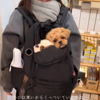 一緒にリュックに入る2匹