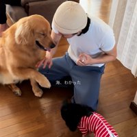 お手のスタンバイする海丸くん
