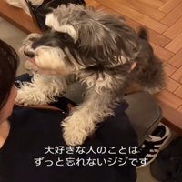 抱きつく犬2