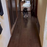 再会のとき！！