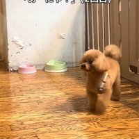 2回呼んでみたら…