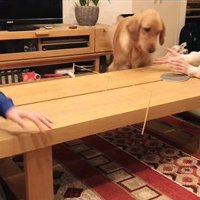 卓球をした時のビスコくん5