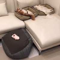 ぴったりシンクロ