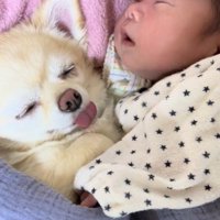 別の日も一緒に寝ている2人