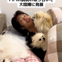 絶対よけないマリンちゃん