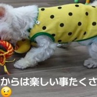 家族として迎えられることに
