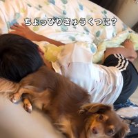 きゅうくつなアムくん