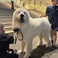 みんながほっこり