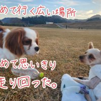 くうちゃんとだいちくん