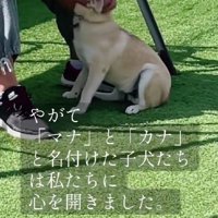素敵な名前をプレゼント！