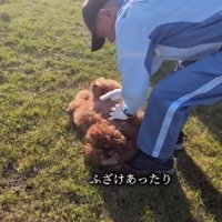 一緒にじゃれあったり…