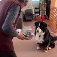 リンちゃんもお辞儀！！