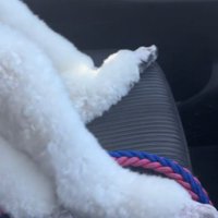 背中にチャックがある！？