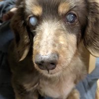 無事に保護されました