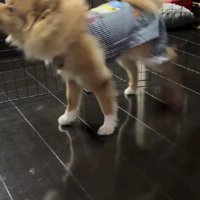 急に動き出した！！