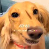 大満足のようです♡