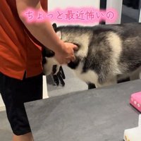 体を押し付けるニーナちゃん