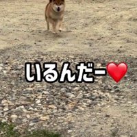 全力でダッシュ