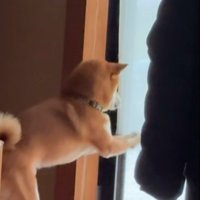 リクくんにハプニング発生4