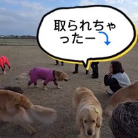 ショックなにこちゃん