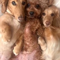 もうひとりじゃない