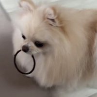 そばに座ると…