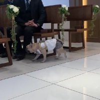 急ぎ足で参列席の中へ