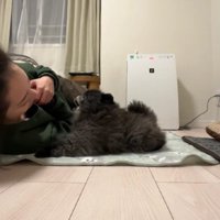 いつでもくっつきたい♡