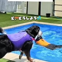 プールに入れない都ちゃん