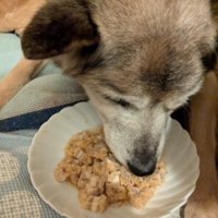 再び生きる力を取り戻した