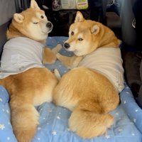 個性