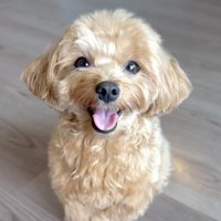 ずっと元気いっぱいで過ごそうね