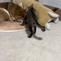 今日もハグが止まらない♡