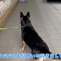おばあちゃんを見た瞬間…